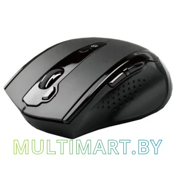 Мышь A4Tech G10-810F